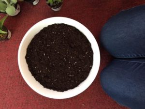 Bowl with Soil