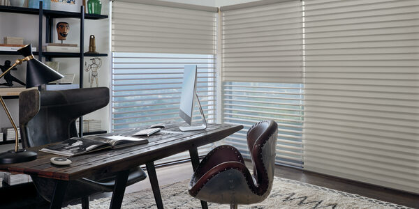 Hunter Douglas Shades