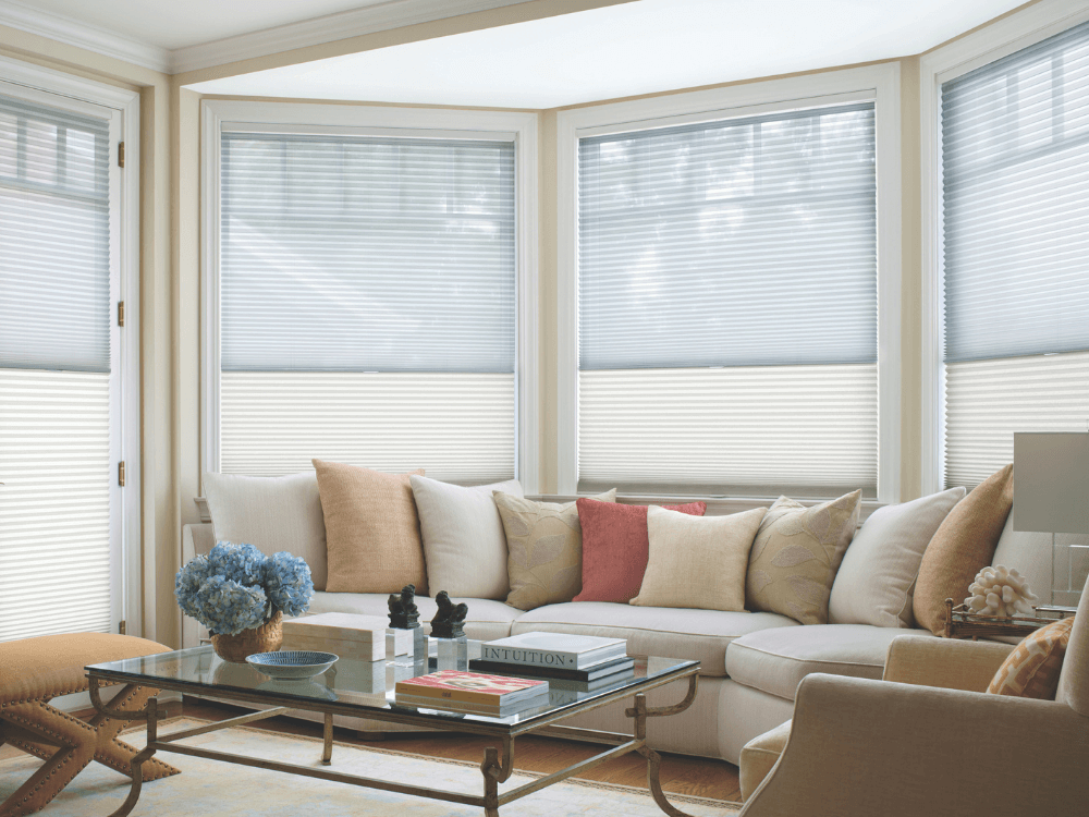 Hunter Douglas Duolite Window Blinds Minneapolis St. Paul MM