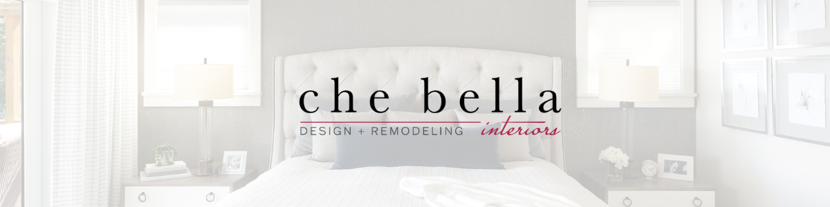 Che Bella Interiors Interior Design + Remodeling Burnsville MN